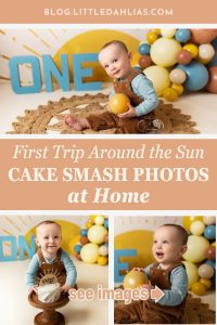 first trip around the sun theme cake smash photos at home